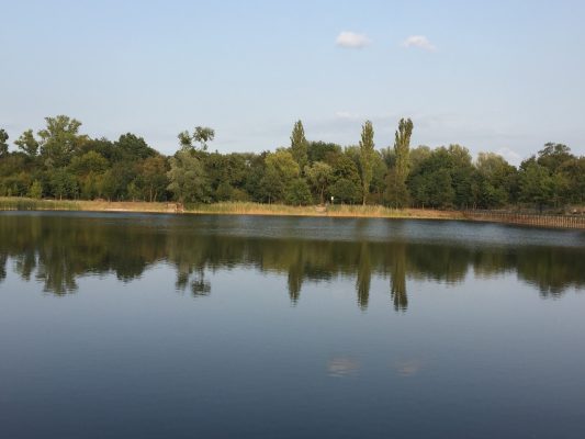 IMG_3098 IMG_3098